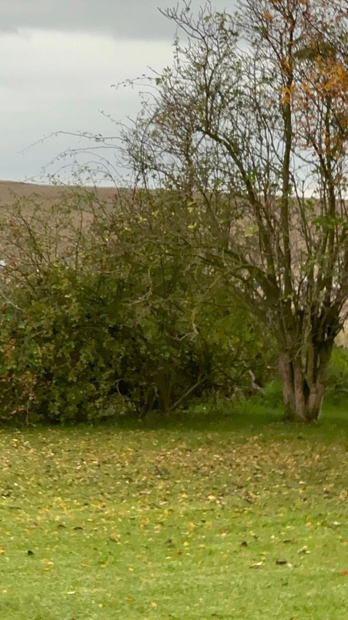 Fischerhuette IV Mobilheim Polchow Zewnętrze zdjęcie
